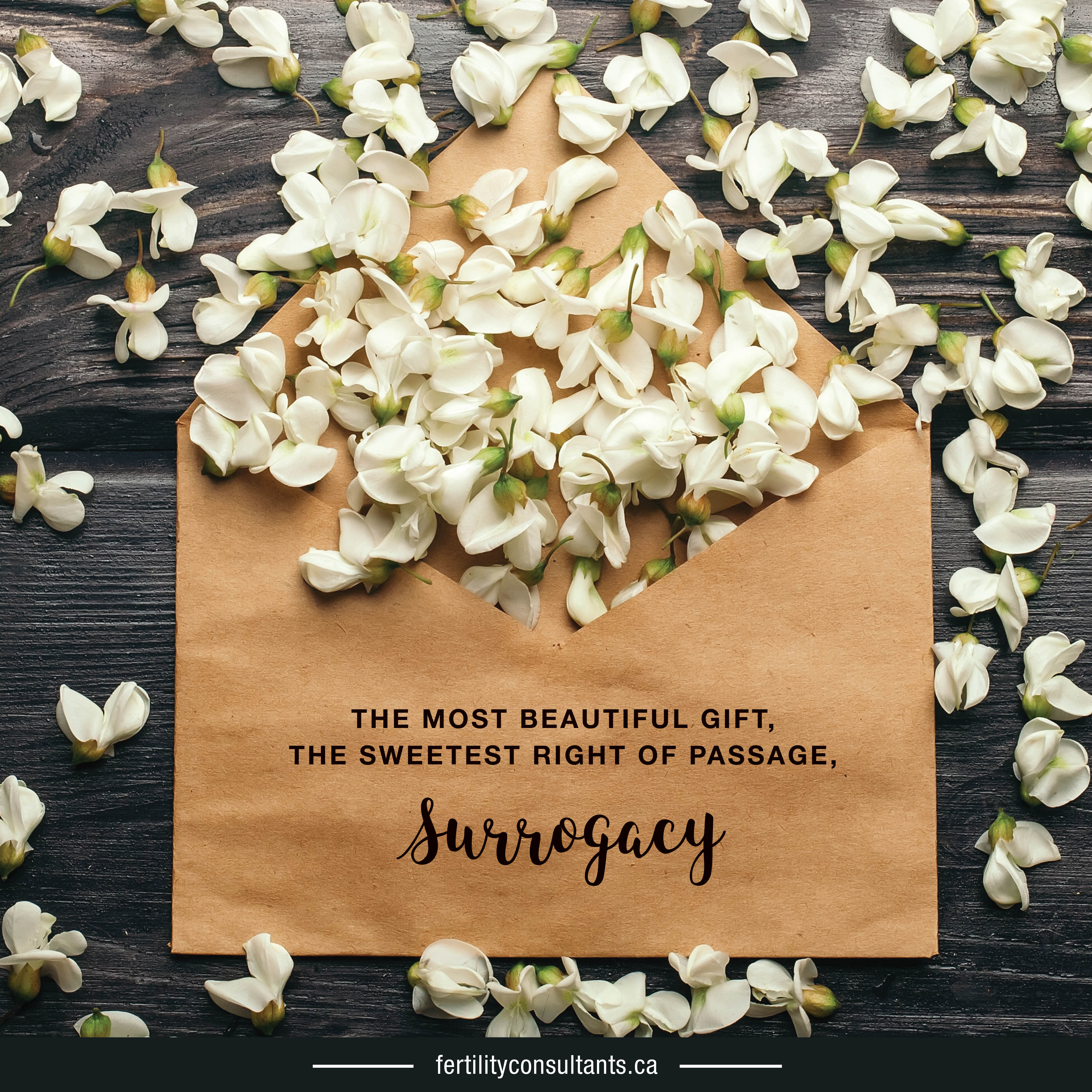 beautiful-gift