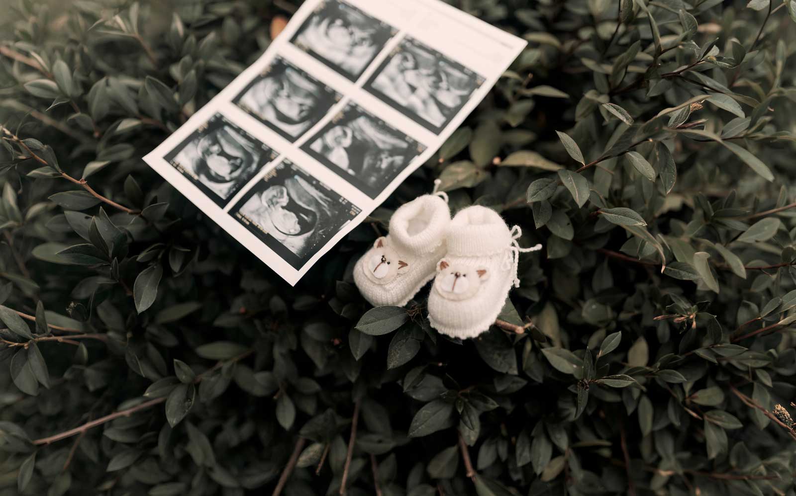Why Your Canadian Legal Team Is So Important During Your Surrogacy Journey